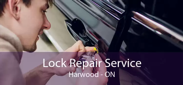 Lock Repair Service Harwood - ON