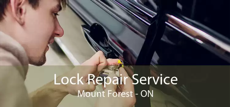 Lock Repair Service Mount Forest - ON
