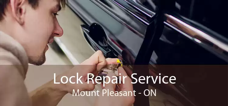 Lock Repair Service Mount Pleasant - ON