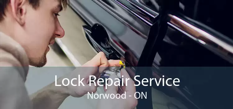 Lock Repair Service Norwood - ON
