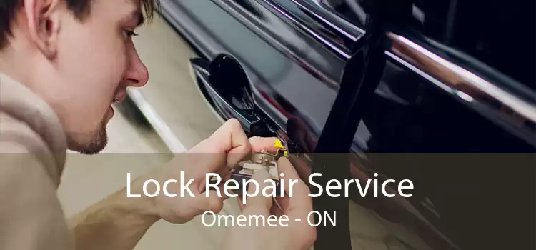 Lock Repair Service Omemee - ON