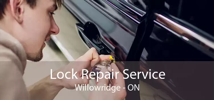 Lock Repair Service Willowridge - ON