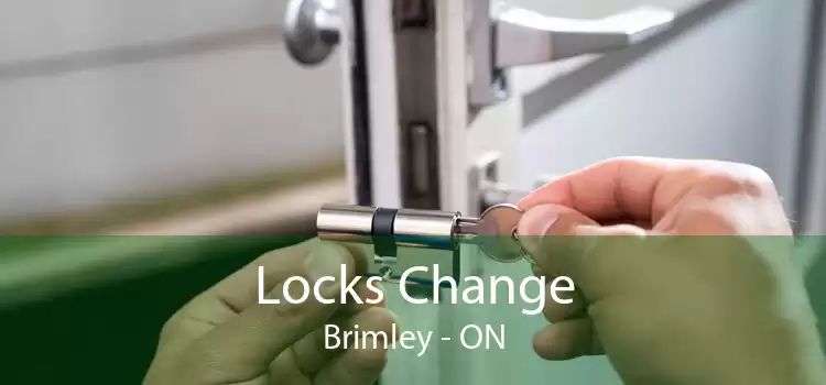 Locks Change Brimley - ON