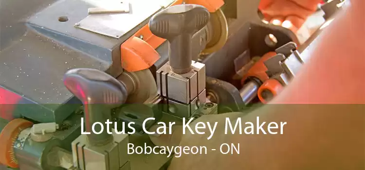 Lotus Car Key Maker Bobcaygeon - ON