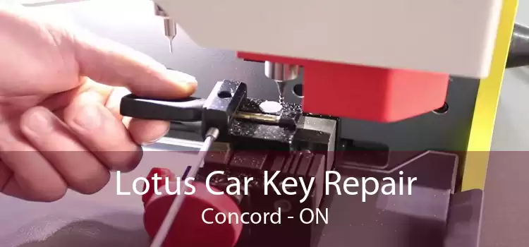 Lotus Car Key Repair Concord - ON