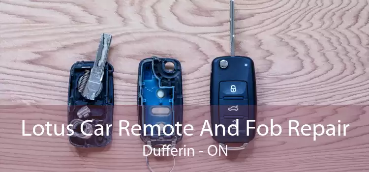 Lotus Car Remote And Fob Repair Dufferin - ON
