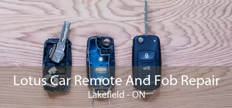 Lotus Car Remote And Fob Repair Lakefield - ON