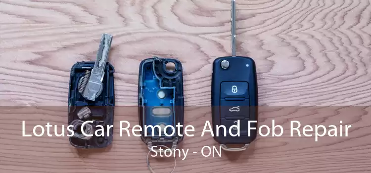 Lotus Car Remote And Fob Repair Stony - ON