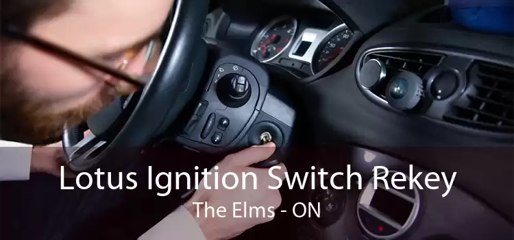 Lotus Ignition Switch Rekey The Elms - ON
