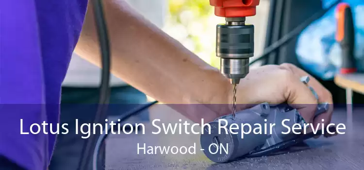 Lotus Ignition Switch Repair Service Harwood - ON