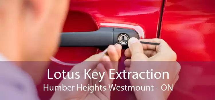 Lotus Key Extraction Humber Heights Westmount - ON