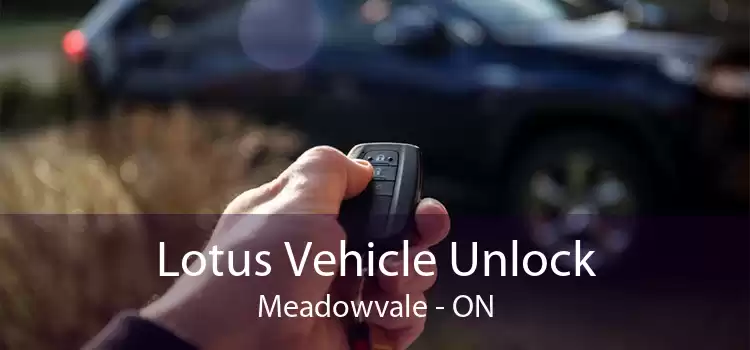 Lotus Vehicle Unlock Meadowvale - ON