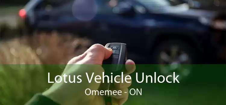 Lotus Vehicle Unlock Omemee - ON