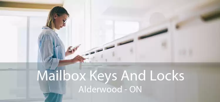 Mailbox Keys And Locks Alderwood - ON