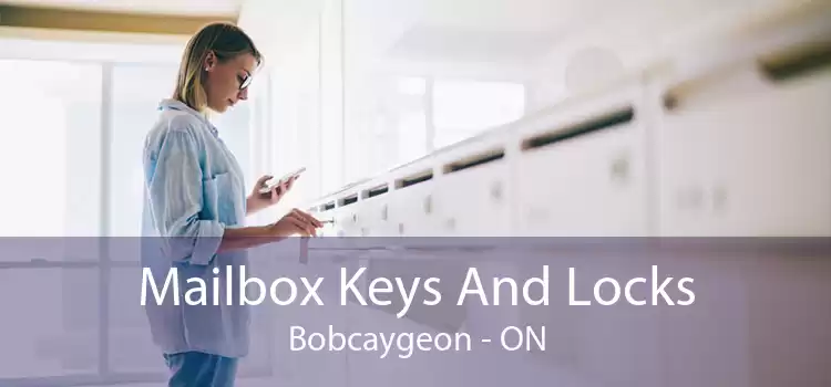 Mailbox Keys And Locks Bobcaygeon - ON