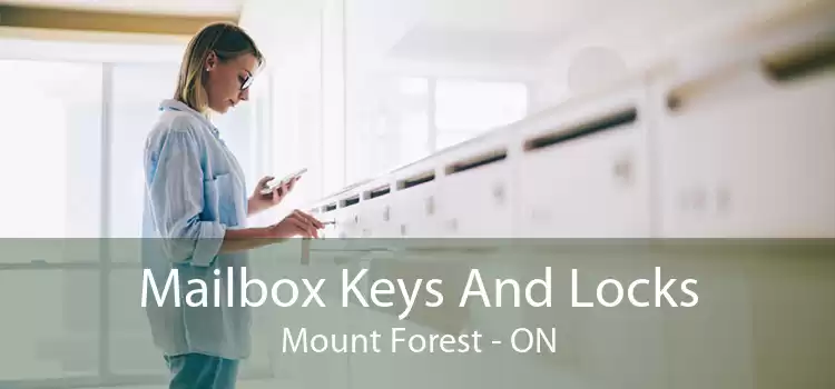 Mailbox Keys And Locks Mount Forest - ON