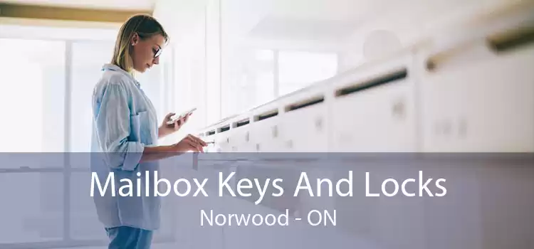 Mailbox Keys And Locks Norwood - ON