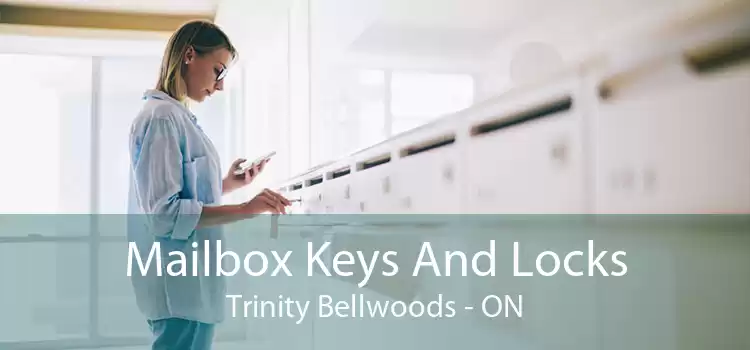 Mailbox Keys And Locks Trinity - Bellwoods - ON