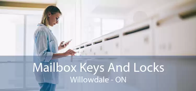 Mailbox Keys And Locks Willowdale - ON
