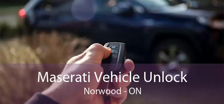Maserati Vehicle Unlock Norwood - ON