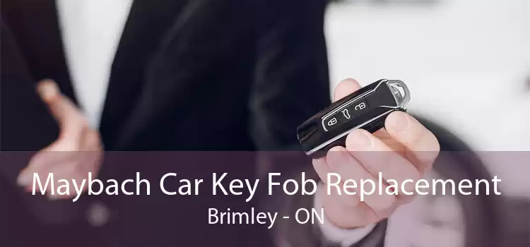 Maybach Car Key Fob Replacement Brimley - ON