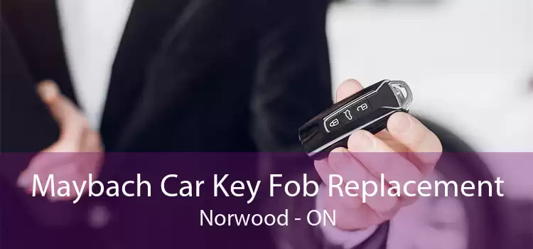 Maybach Car Key Fob Replacement Norwood - ON