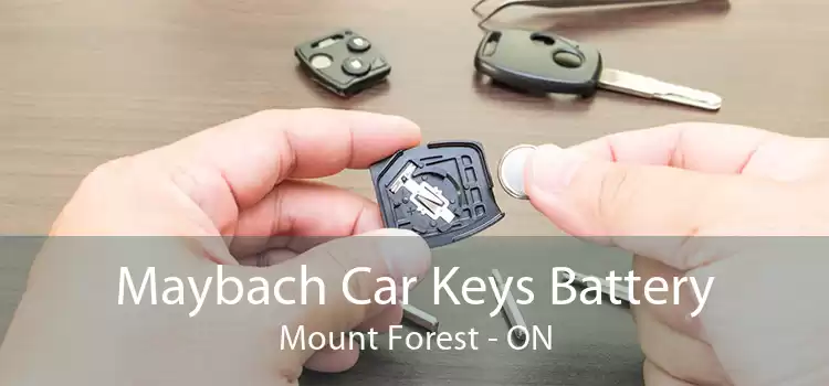Maybach Car Keys Battery Mount Forest - ON