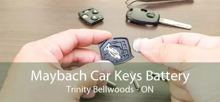 Maybach Car Keys Battery Trinity - Bellwoods - ON