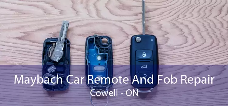 Maybach Car Remote And Fob Repair Cowell - ON