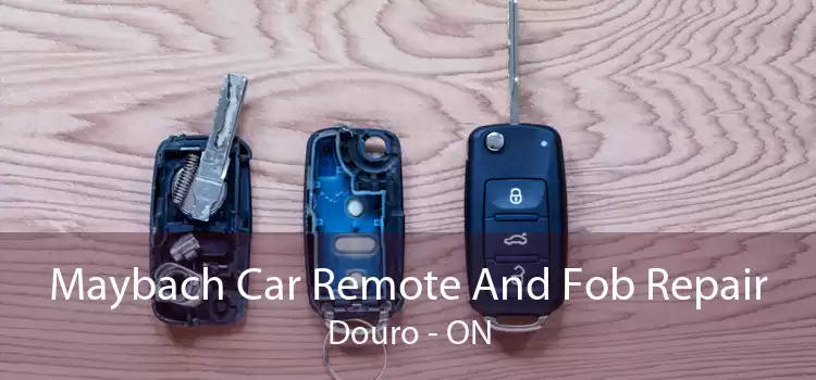 Maybach Car Remote And Fob Repair Douro - ON