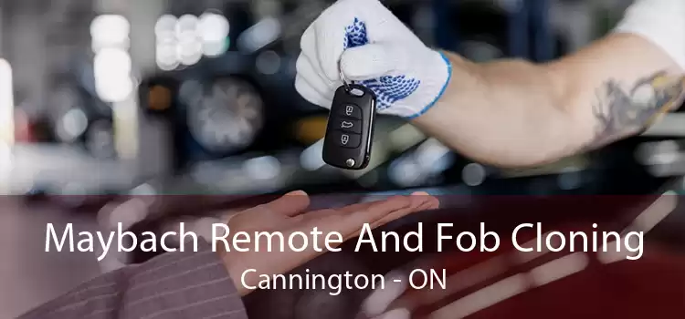 Maybach Remote And Fob Cloning Cannington - ON
