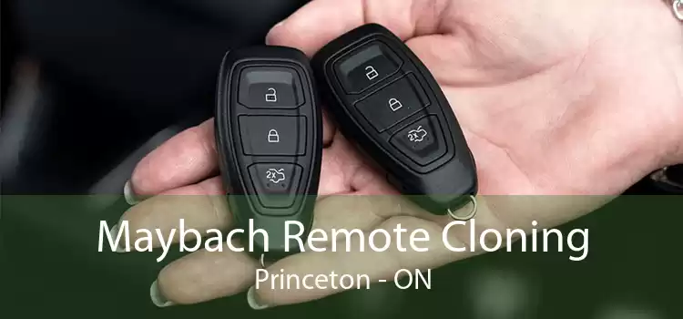Maybach Remote Cloning Princeton - ON