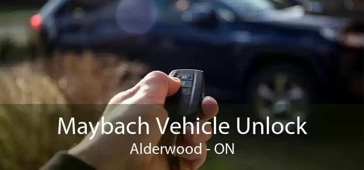 Maybach Vehicle Unlock Alderwood - ON