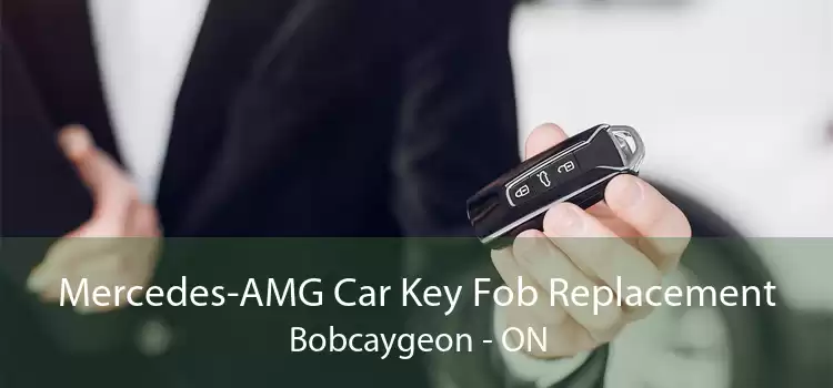 Mercedes-AMG Car Key Fob Replacement Bobcaygeon - ON