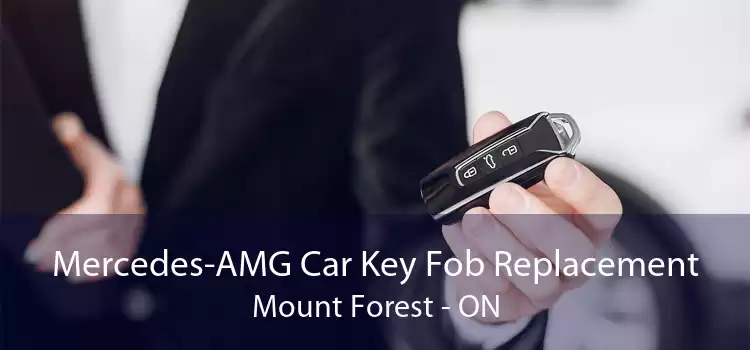 Mercedes-AMG Car Key Fob Replacement Mount Forest - ON