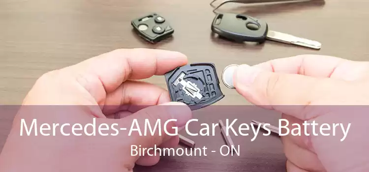 Mercedes-AMG Car Keys Battery Birchmount - ON