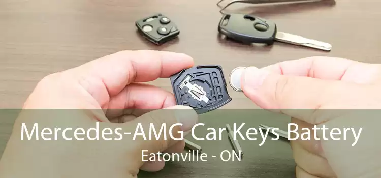 Mercedes-AMG Car Keys Battery Eatonville - ON