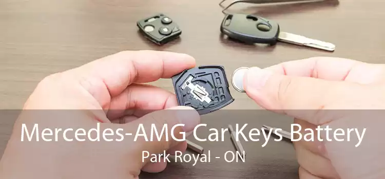 Mercedes-AMG Car Keys Battery Park Royal - ON