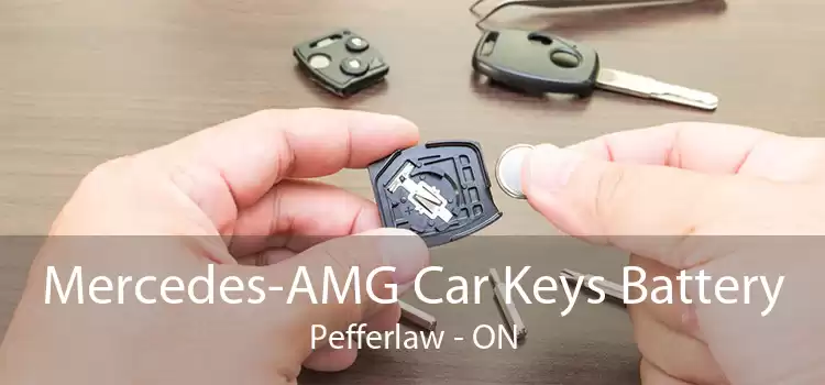 Mercedes-AMG Car Keys Battery Pefferlaw - ON