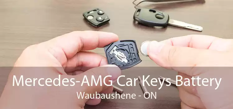 Mercedes-AMG Car Keys Battery Waubaushene - ON