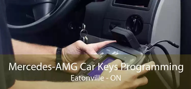 Mercedes-AMG Car Keys Programming Eatonville - ON