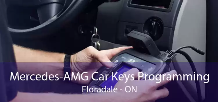 Mercedes-AMG Car Keys Programming Floradale - ON