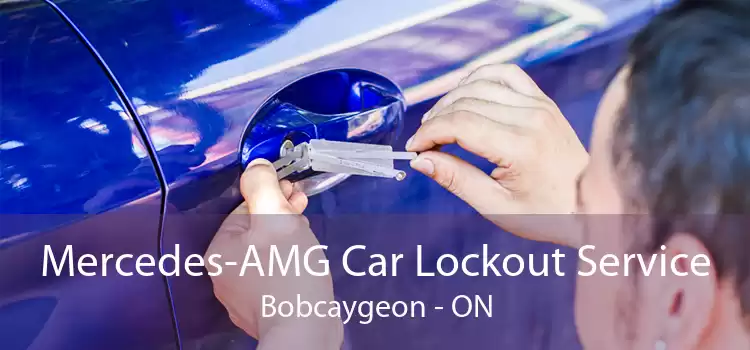Mercedes-AMG Car Lockout Service Bobcaygeon - ON