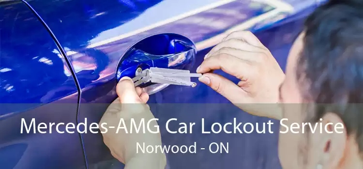Mercedes-AMG Car Lockout Service Norwood - ON