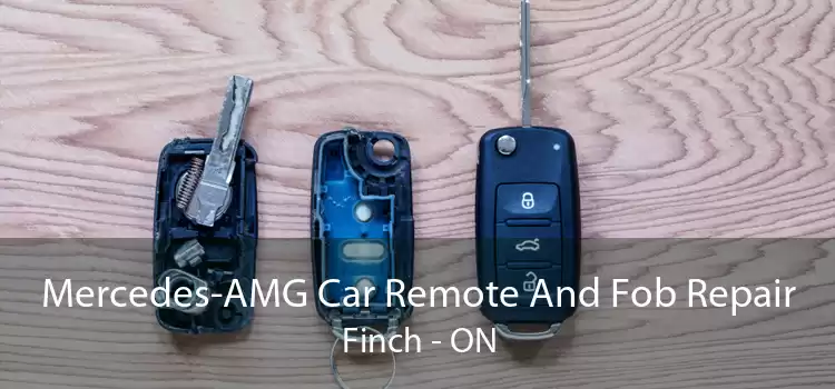 Mercedes-AMG Car Remote And Fob Repair Finch - ON