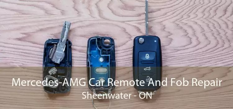 Mercedes-AMG Car Remote And Fob Repair Sheenwater - ON