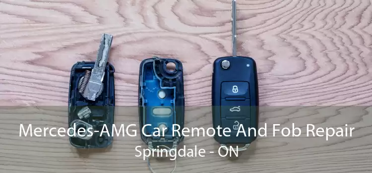 Mercedes-AMG Car Remote And Fob Repair Springdale - ON
