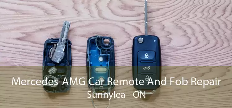 Mercedes-AMG Car Remote And Fob Repair Sunnylea - ON