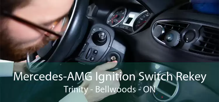 Mercedes-AMG Ignition Switch Rekey Trinity - Bellwoods - ON