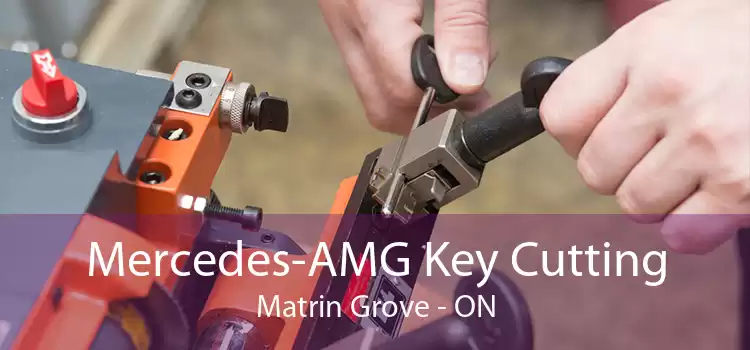 Mercedes-AMG Key Cutting Matrin Grove - ON
